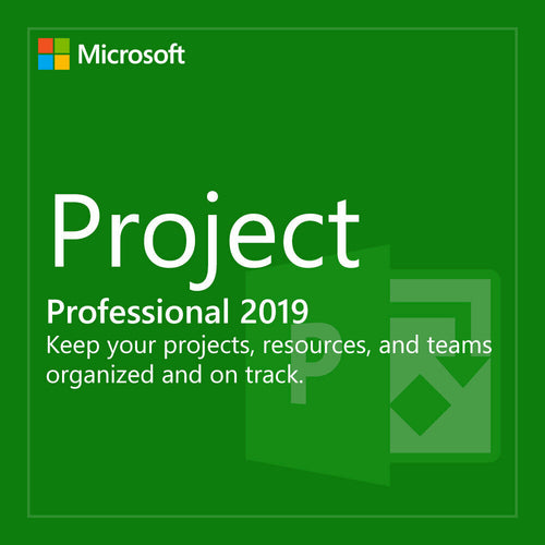Microsoft PROJECT 2019 Professional